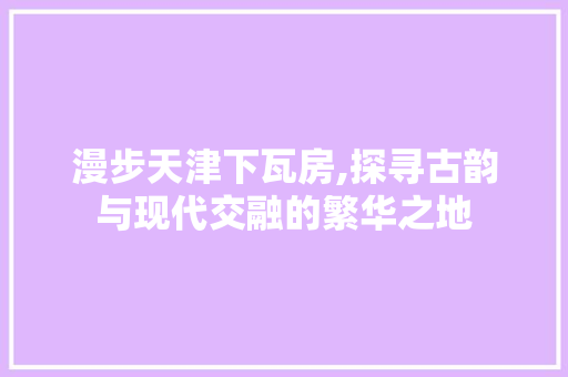 漫步天津下瓦房,探寻古韵与现代交融的繁华之地