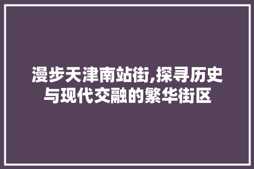 漫步天津南站街,探寻历史与现代交融的繁华街区