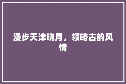 漫步天津晓月，领略古韵风情