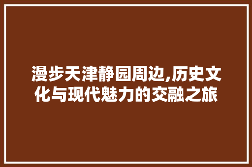 漫步天津静园周边,历史文化与现代魅力的交融之旅