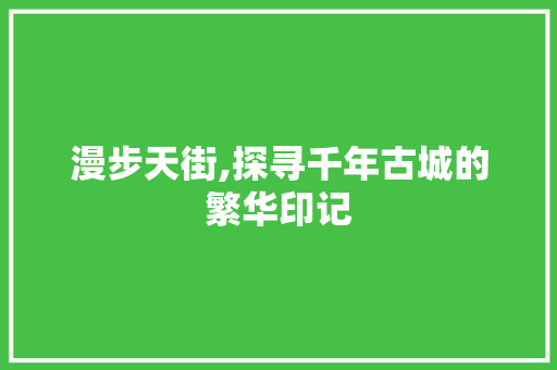 漫步天街,探寻千年古城的繁华印记  第1张