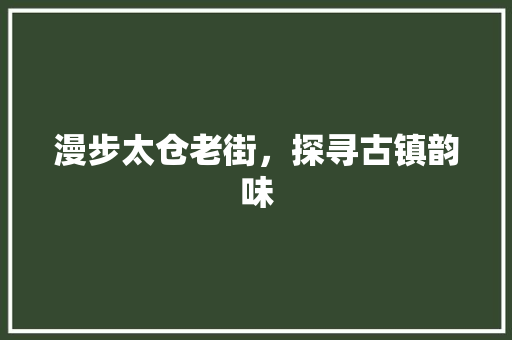 漫步太仓老街，探寻古镇韵味