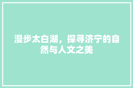 漫步太白湖，探寻济宁的自然与人文之美  第1张