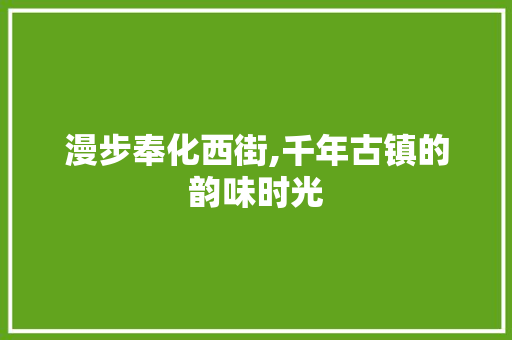 漫步奉化西街,千年古镇的韵味时光