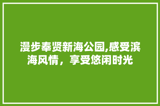 漫步奉贤新海公园,感受滨海风情，享受悠闲时光  第1张