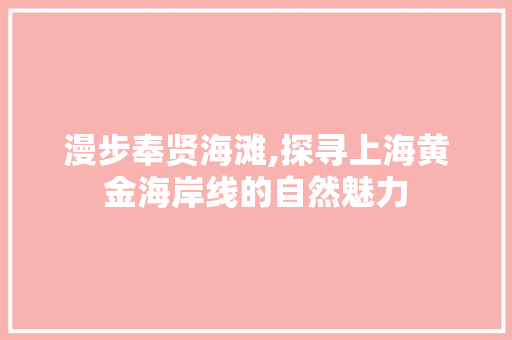 漫步奉贤海滩,探寻上海黄金海岸线的自然魅力