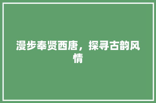 漫步奉贤西唐，探寻古韵风情