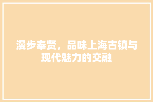 漫步奉贤，品味上海古镇与现代魅力的交融