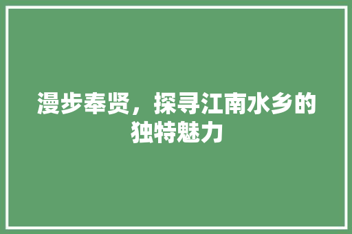 漫步奉贤，探寻江南水乡的独特魅力