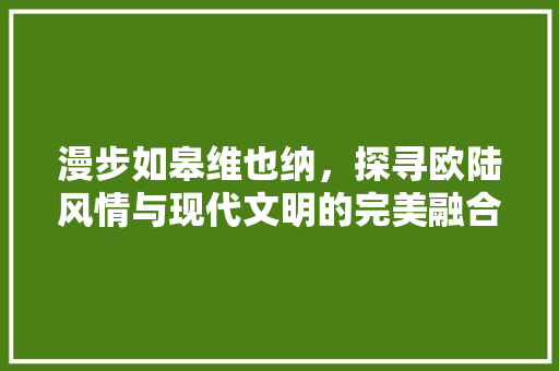 漫步如皋维也纳，探寻欧陆风情与现代文明的完美融合