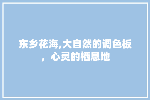 东乡花海,大自然的调色板，心灵的栖息地