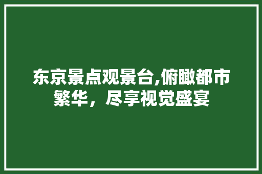 东京景点观景台,俯瞰都市繁华，尽享视觉盛宴