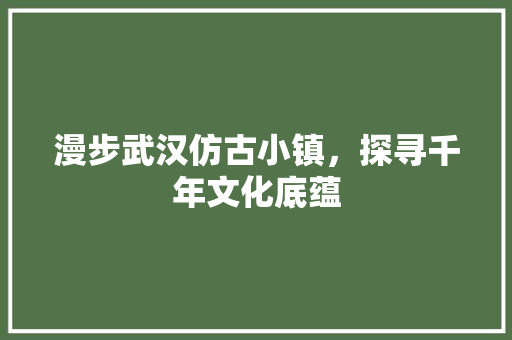 漫步武汉仿古小镇，探寻千年文化底蕴