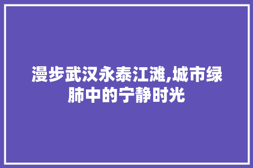 漫步武汉永泰江滩,城市绿肺中的宁静时光