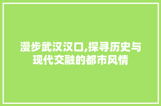 漫步武汉汉口,探寻历史与现代交融的都市风情