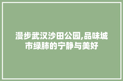 漫步武汉沙田公园,品味城市绿肺的宁静与美好