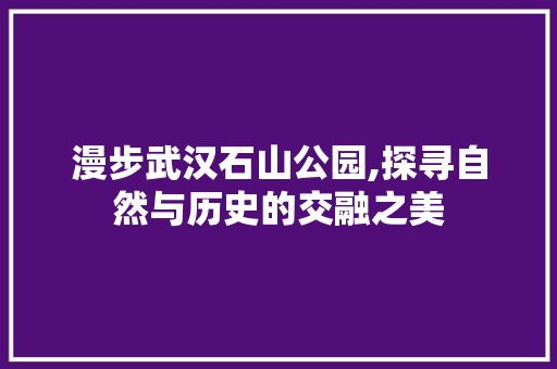 漫步武汉石山公园,探寻自然与历史的交融之美