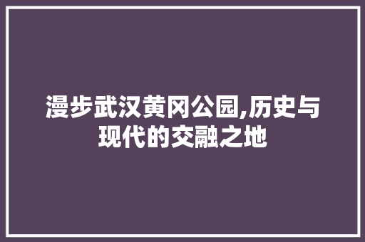 漫步武汉黄冈公园,历史与现代的交融之地