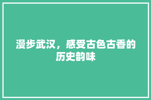 漫步武汉，感受古色古香的历史韵味