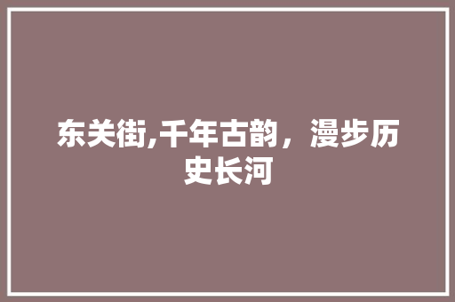 东关街,千年古韵，漫步历史长河