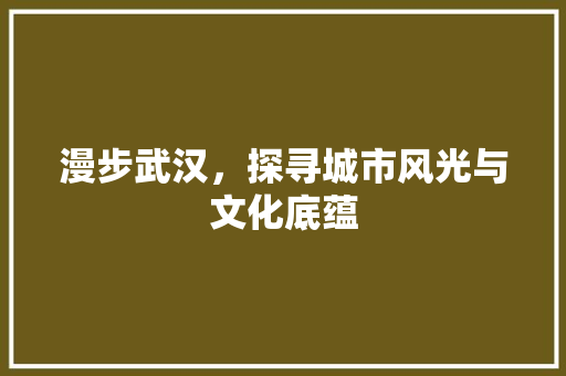 漫步武汉，探寻城市风光与文化底蕴