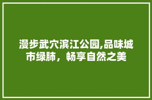 漫步武穴滨江公园,品味城市绿肺，畅享自然之美