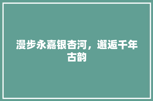 漫步永嘉银杏河，邂逅千年古韵