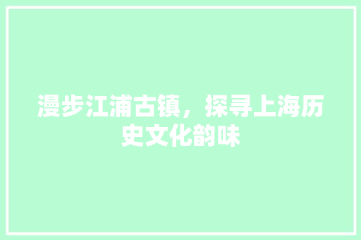 漫步江浦古镇，探寻上海历史文化韵味  第1张