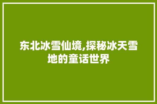 东北冰雪仙境,探秘冰天雪地的童话世界  第1张