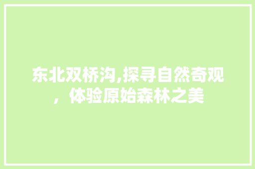 东北双桥沟,探寻自然奇观，体验原始森林之美  第1张