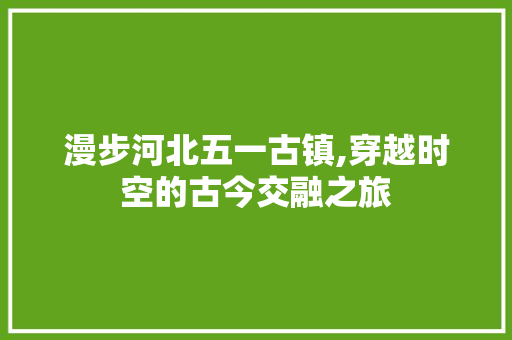 漫步河北五一古镇,穿越时空的古今交融之旅