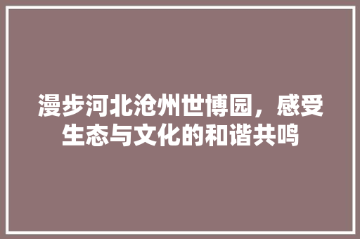 漫步河北沧州世博园，感受生态与文化的和谐共鸣