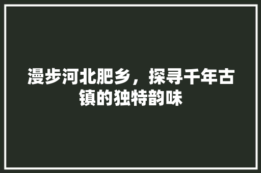 漫步河北肥乡，探寻千年古镇的独特韵味  第1张