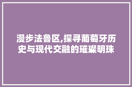 漫步法鲁区,探寻葡萄牙历史与现代交融的璀璨明珠