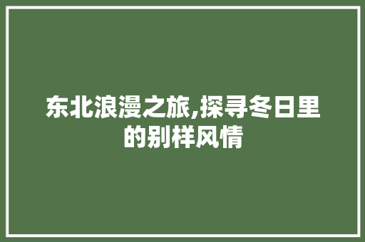 东北浪漫之旅,探寻冬日里的别样风情