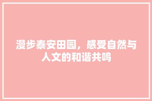 漫步泰安田园，感受自然与人文的和谐共鸣