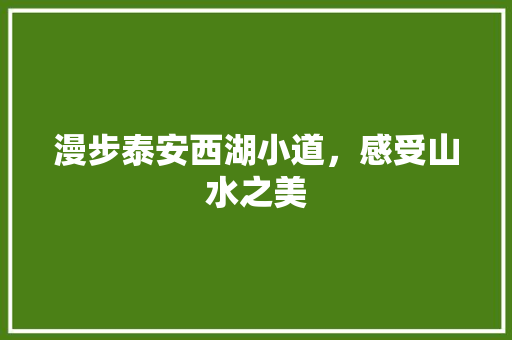 漫步泰安西湖小道，感受山水之美