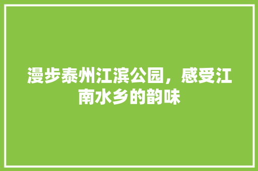 漫步泰州江滨公园，感受江南水乡的韵味