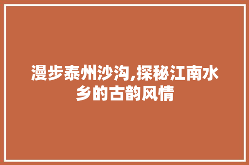 漫步泰州沙沟,探秘江南水乡的古韵风情