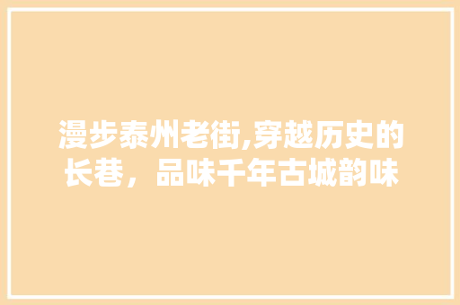 漫步泰州老街,穿越历史的长巷，品味千年古城韵味