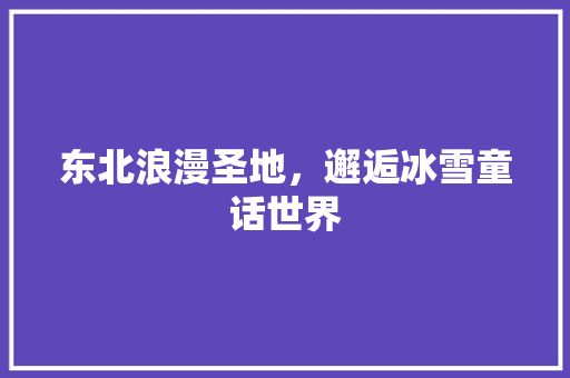 东北浪漫圣地，邂逅冰雪童话世界  第1张