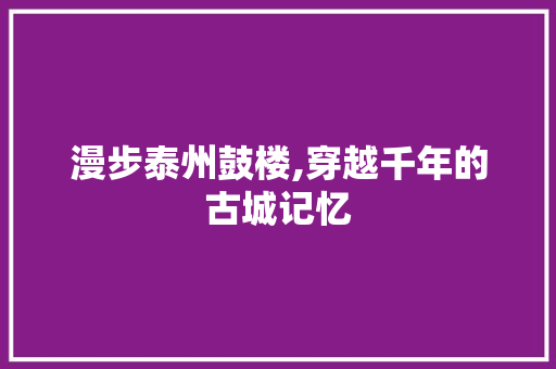 漫步泰州鼓楼,穿越千年的古城记忆