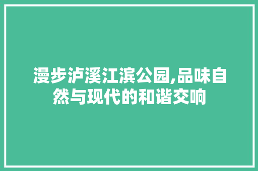 漫步泸溪江滨公园,品味自然与现代的和谐交响