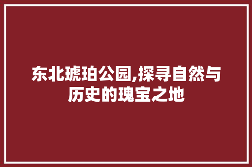 东北琥珀公园,探寻自然与历史的瑰宝之地  第1张