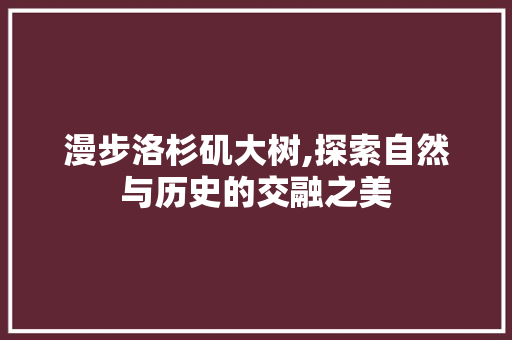 漫步洛杉矶大树,探索自然与历史的交融之美