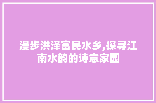 漫步洪泽富民水乡,探寻江南水韵的诗意家园