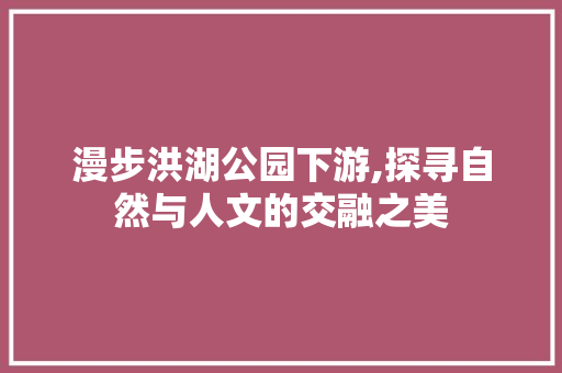 漫步洪湖公园下游,探寻自然与人文的交融之美