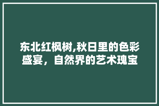 东北红枫树,秋日里的色彩盛宴，自然界的艺术瑰宝  第1张