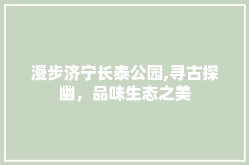 漫步济宁长泰公园,寻古探幽，品味生态之美