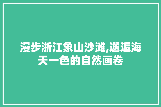 漫步浙江象山沙滩,邂逅海天一色的自然画卷